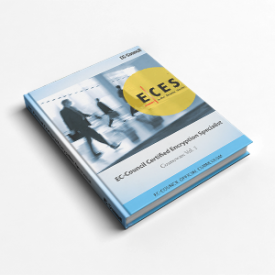 ECES v3 e-Courseware Only